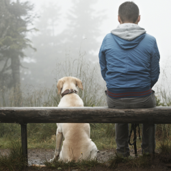 Man and dog