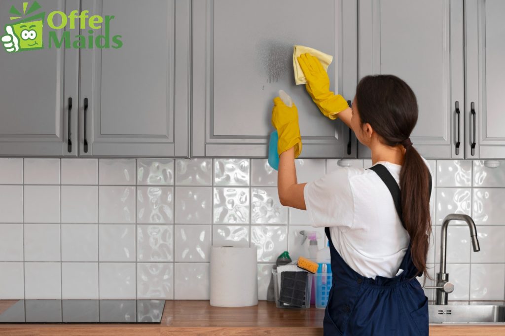 house cleaning services
