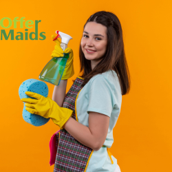 professional commercial cleaners